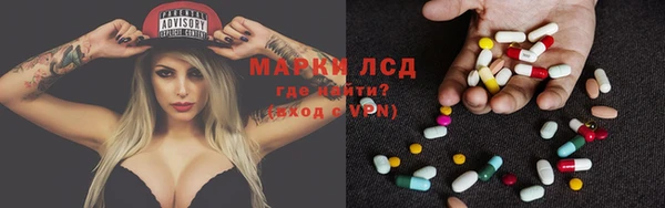 сатива Аркадак
