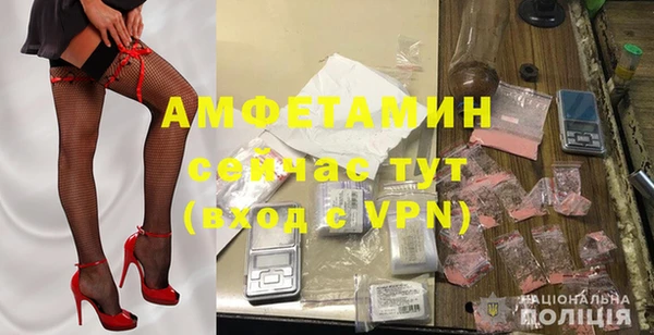 сатива Аркадак