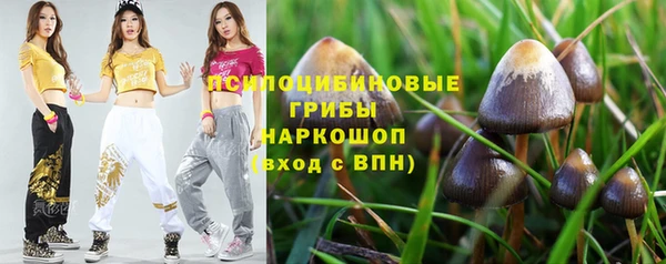 сатива Аркадак
