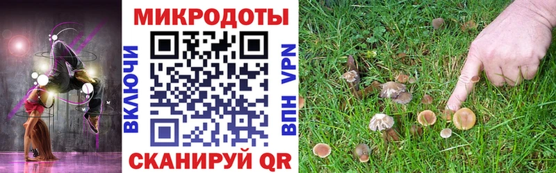 Псилоцибиновые грибы GOLDEN TEACHER  Ейск 