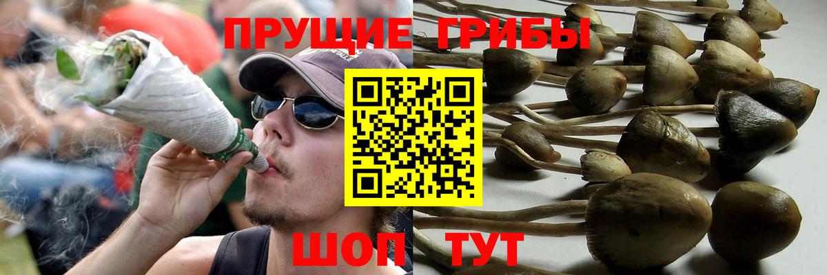 Галлюциногенные грибы мухоморы  Вход с VPN  Ейск  где купить наркоту  Псилоцибиновые грибы MAGIC MUSHROOMS 