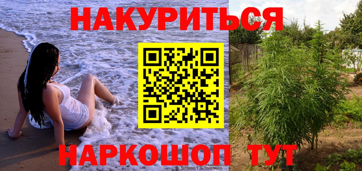 Шишки марихуана конопля  Вход с VPN  Шишки марихуана семена  Каннабис SATIVA & INDICA  Ейск 